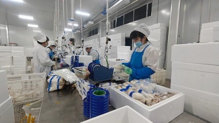 安圖生物 鉚足干勁抓生產(chǎn)，奮力沖刺生物制品“開門紅”